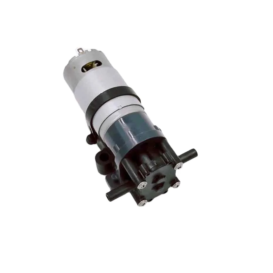 Mini Electric Food Grade Micro Gear Low Pressure DC Motor Water Pump for Other Applications