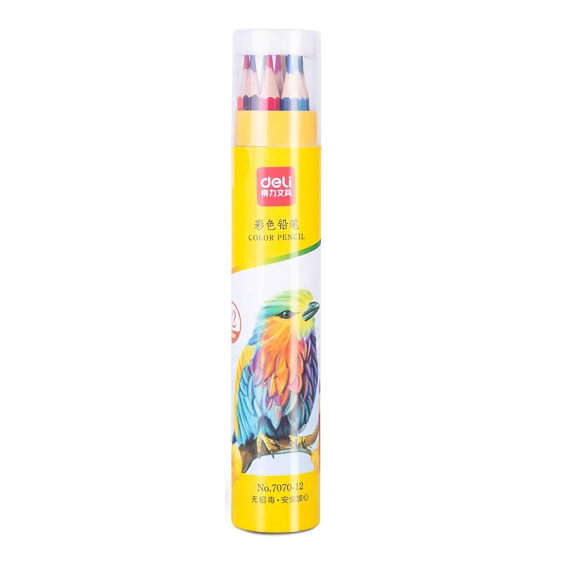 Deli 7070-12 12pcs/barrel Oil-based Colored Pencil for Students Children's Drawing Pencil 192barrel*12pcs=2304pcs Per Carton 