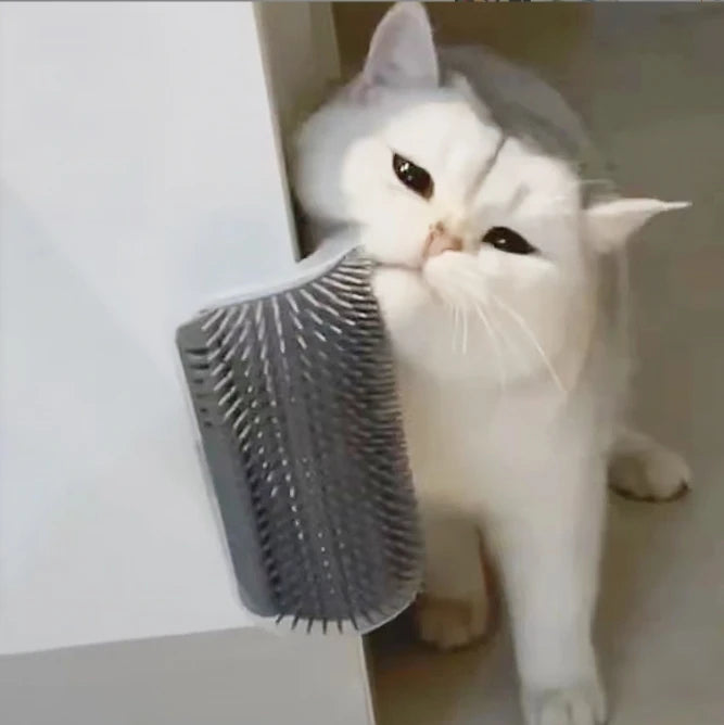 Plastic Cat Scratches Pet Massage Comb for Corner Scratches Brush Essential Pet Supplies