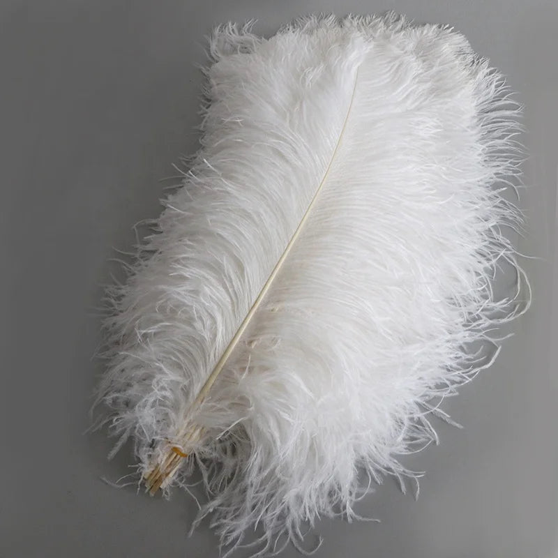Wholesale Large White Ostrich Feathers for Wedding Decoration Crafts Cheap Carnival Party Centerpiece Table Dyed Pattern