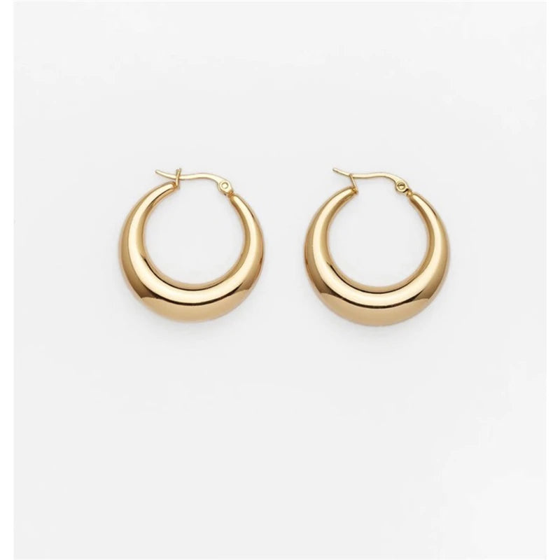 Fenny 18K PVD Plated Wholesale Waterproof&Non Tarnish Smooth Chunky Minimalist Stainless Steel Hoop Earrings for Women