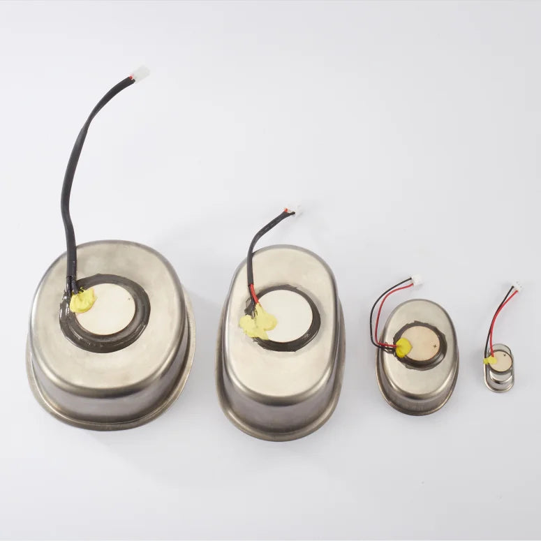 Electric Household Stainless Steel SUS304 40KHz Ultrasonic Water Bath Small Piezoelectric Ceramic Discs Transducer for Cleani