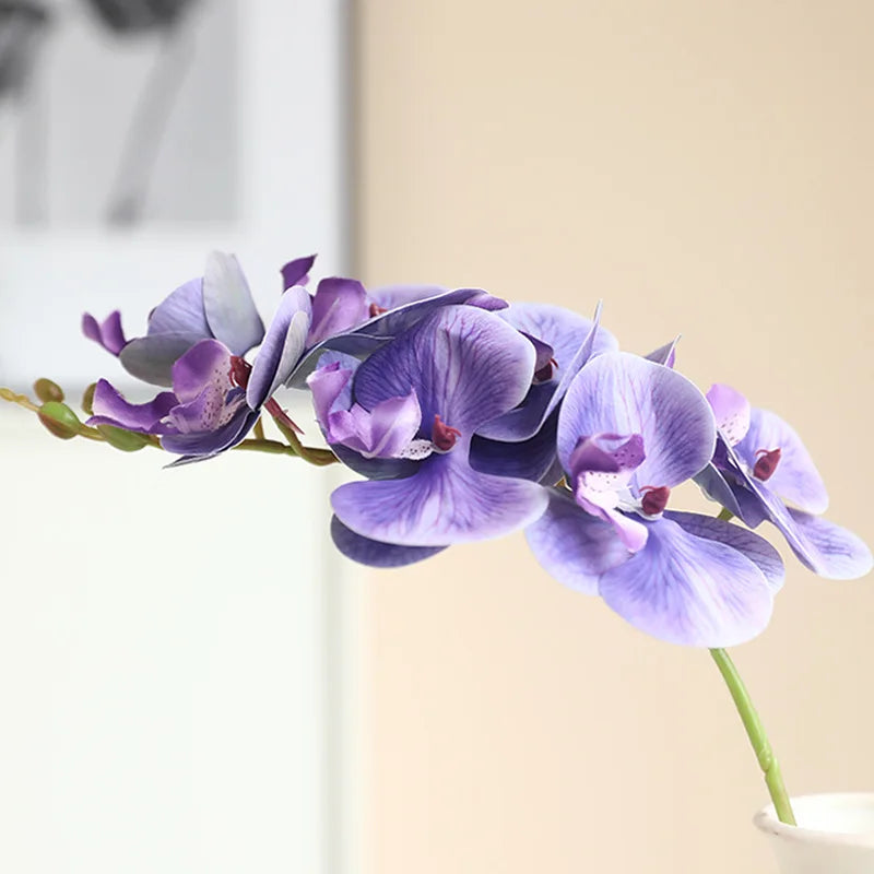 Low MOQ Butterfly Orchid One Stem Orchid Multi Colors for Home Decor House Floral Arrangement for Wedding Party Real Touch