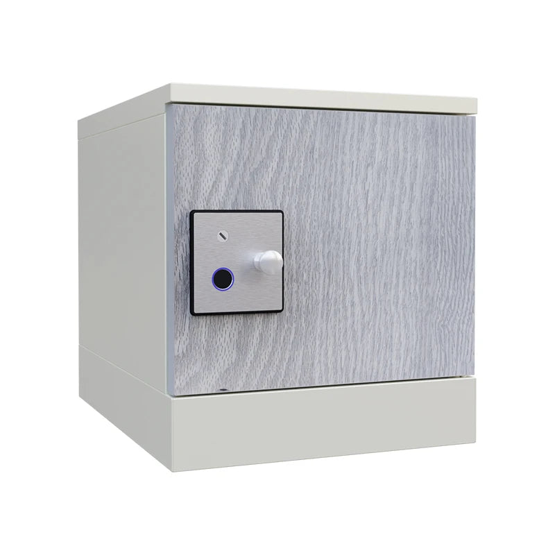 Multi Function New Design Smart Locker Assemble Home Storage Solution Network Cabinet Intelligent House IOT Building Parcel B