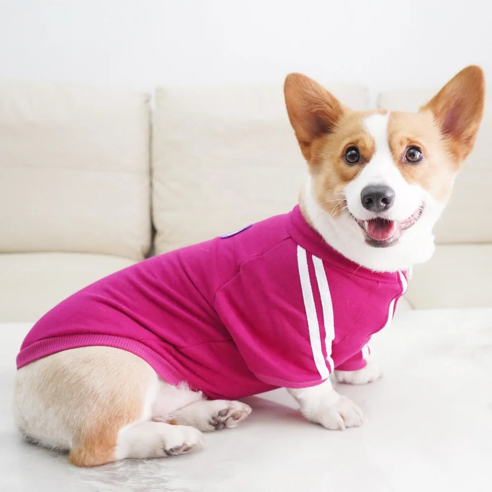 Wholesale Chongtapet WC6 Luxury Red Striped Spring Pet 280G Cotton Sweater Teddy Bears Schnauzer Corgi Sports Retro Dog Cloth