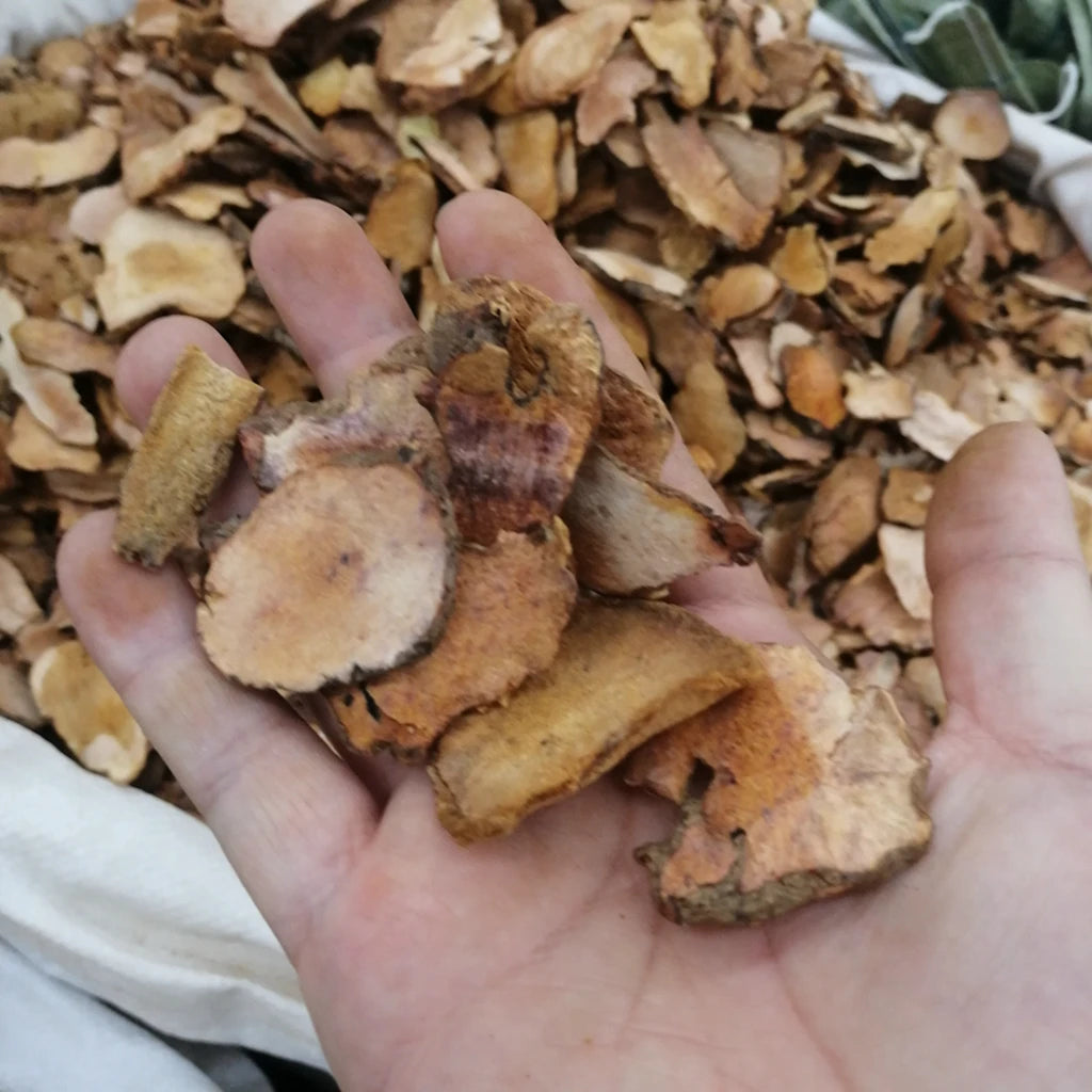 Natural Cheap Price Dried Smilax Officinalis Roots Cut Smilax Officinalis Rhizome Slices for Sale