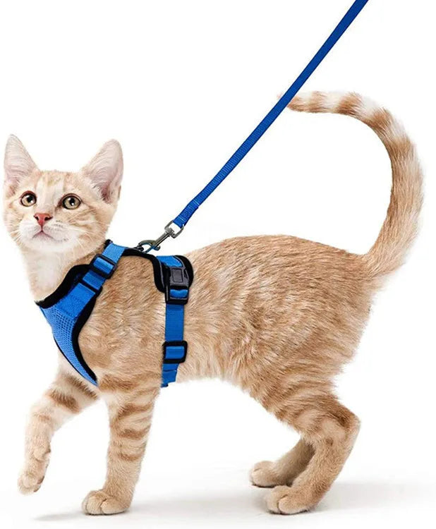 Kitten Adjustable Lightweight Soft Cat Vest Harness and Leashes Dog Harnesses Cat Harness and Leashes