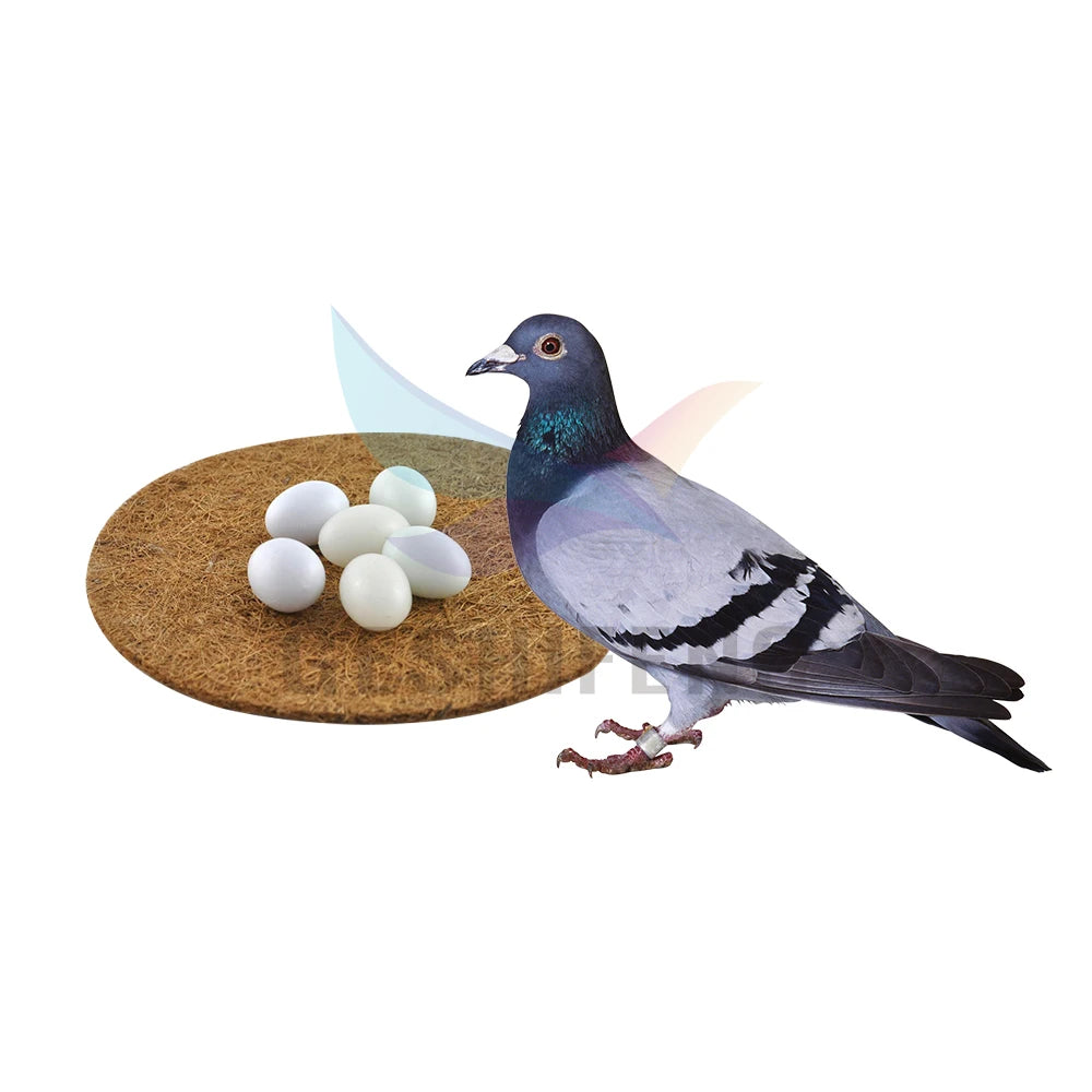 GSF Factory G1244 Nest Mat Felts Pigeon Nest Pigeon Hatching Eggs Pure Coconut Silk Pigeon Bird Nest
