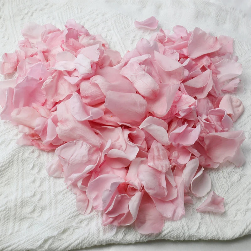 Hot Sale Preseved Coloured Rose Petals Red  Real Touch pink Roses Petals Wholesale for Valentine's Day Wedding Decoration