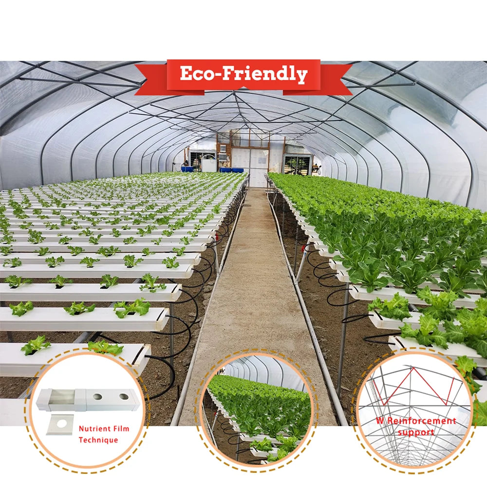 Baolida Hot Sale Poly Tunnel Strawberry Greenhouse Agricultural Single-span Greenhouse  for Strawberry Growing