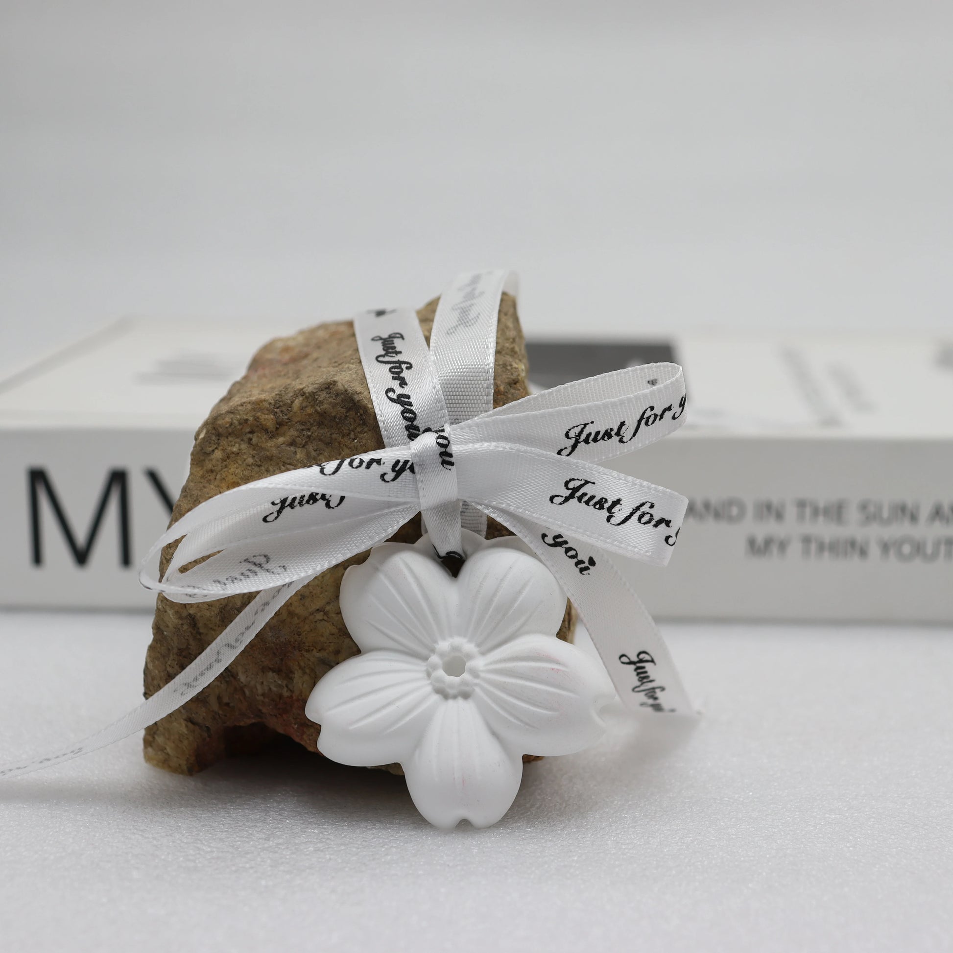 Latest Eco-Friendly Plaster Pendant Perfume Odor Diffuser Indoor Car Hanging Decoration Gypsum Aroma Solid Customized Scents 