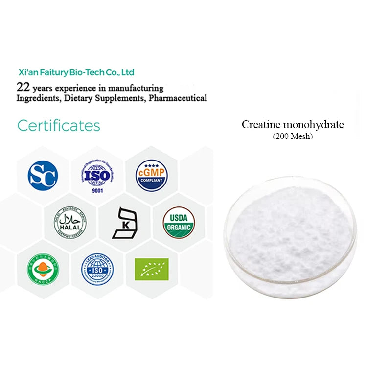 Low MOQ Wholesale 200 Mesh Micronized 99% Creatine Powder Creatine Monohydrate Powder