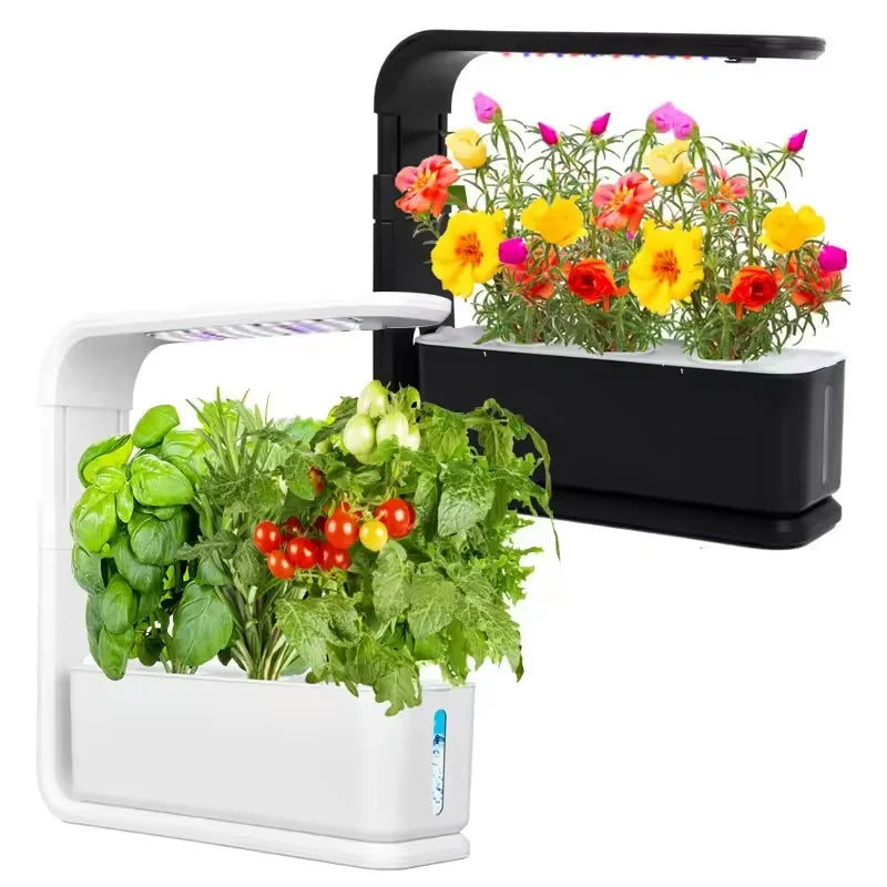 Fully Automatic 3 Pods Hydroponics Indoor Vertical Farming Wall Growing System Made in China