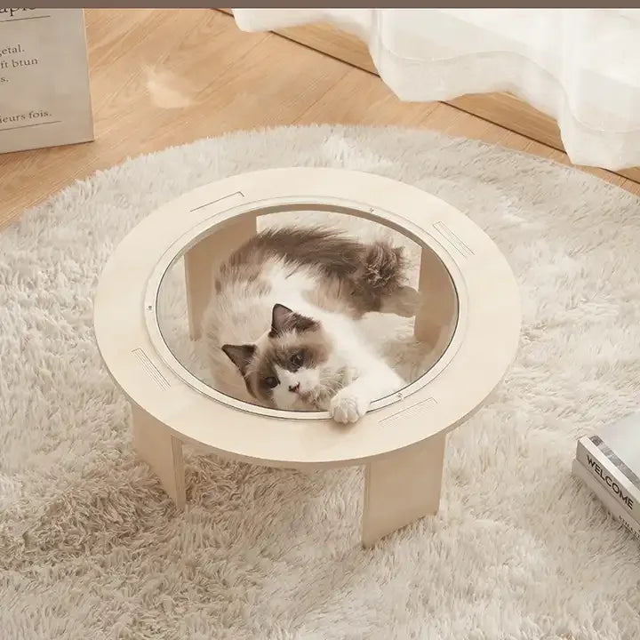 Wholesale Four Seasons Spaceship Space Capsule Acrylic Landing Transparent Cat's Nest Wood Cat Bed