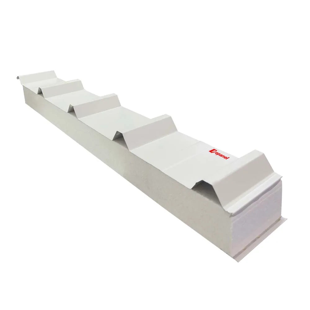 50mm 75mm 100mm Thickness Fireproof Exterior Wall Panel for Prepabricated Houses Cold Room Workshop-EPS Wall Panel Class B1 Fire