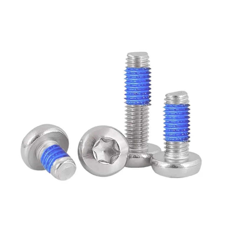Customizable Oval Head Pan Patch Locking Screw Nylon with Torx Drive Stainless Steel Thread Metric Measurement System