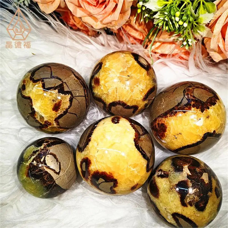 Wholesale Natural Crystal Healing Stones Septarium Sphere with Geode for Decoration