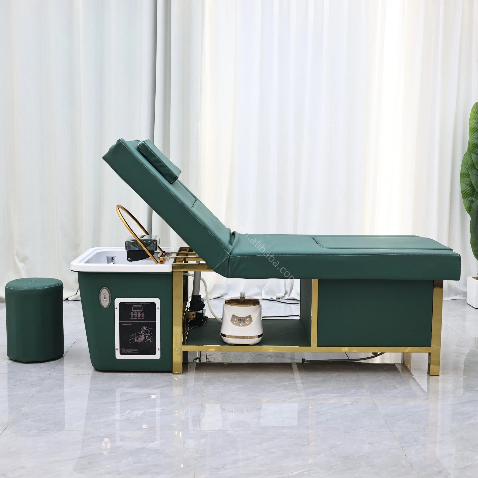 Winplus Luxury Electric Pedicure Electric Lift Foot Bath Washing Chair Thai Massage Bed Beauty Hair Salon Head Spa Shampoo Be