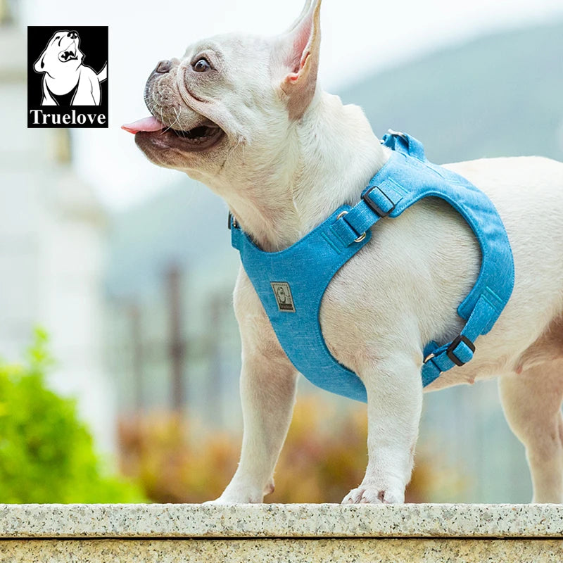 Truelove Stocked Environmental Friendly Polyester Breathable Pet Harness Soft Durable for Small Recycle Adjustable Dog Harnes