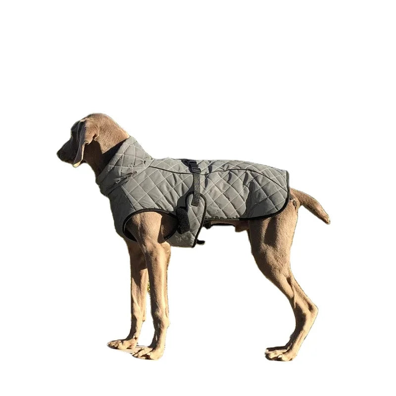 Luxury Brand Designer Pet Winter Coat Custom Large Dog Waterproof Jacket for Spring Modern Style Husky Cat Waterproof Jacket