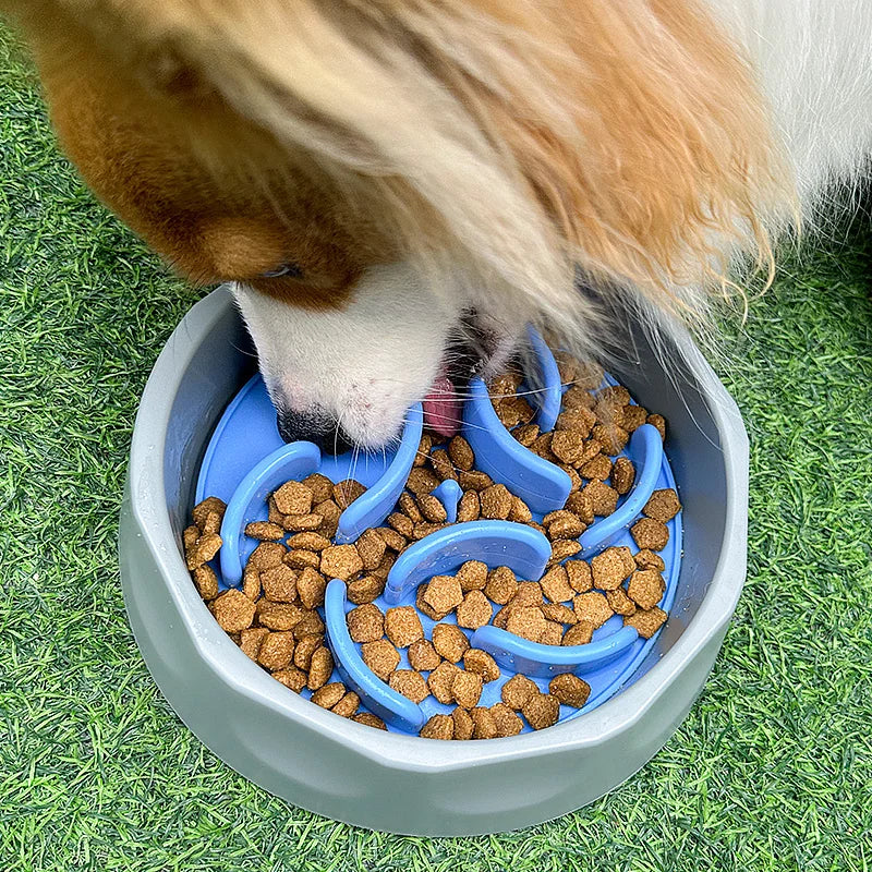 Custom Portable 2 in 1 Drinking Eating Puppy Essentials Silicone Mat Pet Cat Slow Feeder Dog Food Bowl