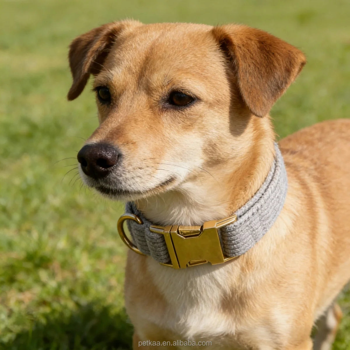 High End Light Luxury Corduroy Gray Collar Pet Dog Accessories in Stock Fast Delivery Matching Leash Harness Metal Buckle custom