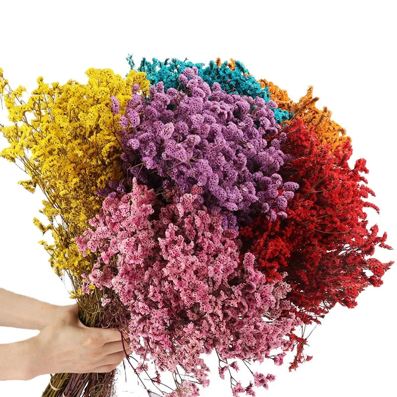 Preserved Flowers with Stems Wholesale Dried Flowers Eternal Crystal Grass Limonium Dried Flower for Wedding Events Decor