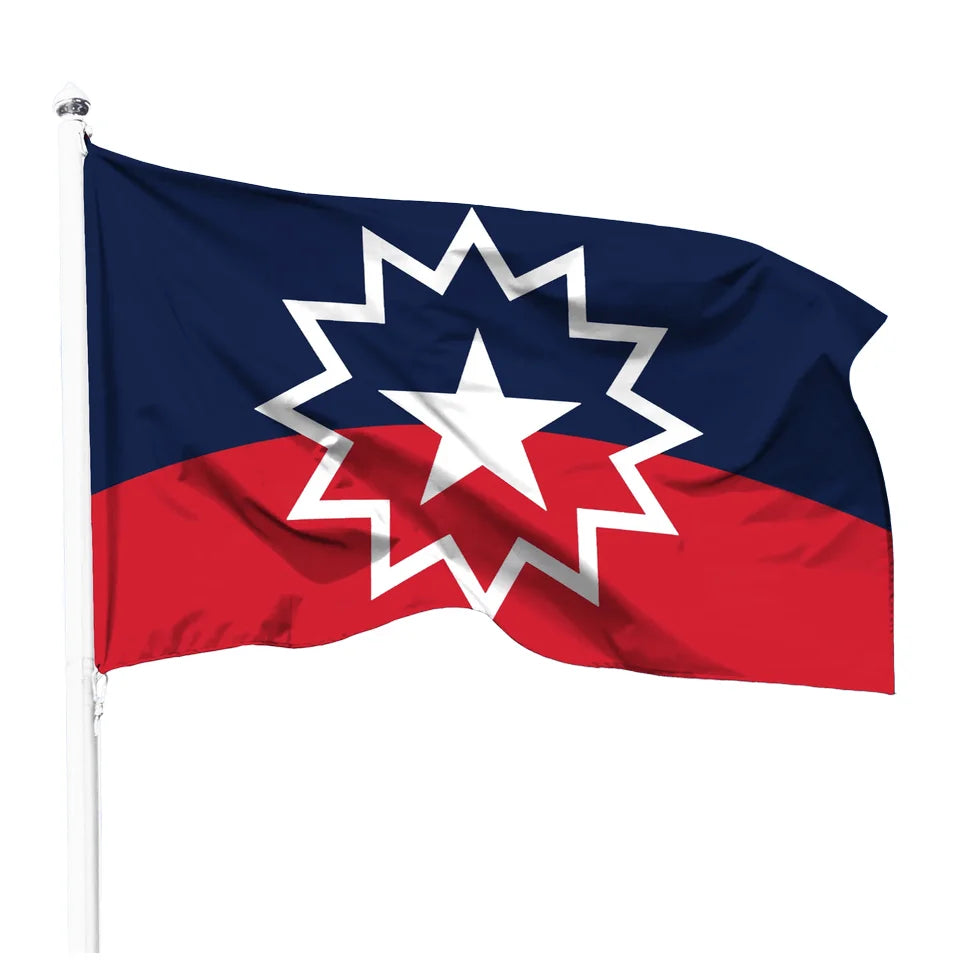 3x5 Ft Outdoor Double Printed Juneteenth Decorations Flag Sunflower Independence Day Flag for Celebrating Juneteenth