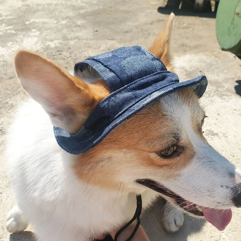 New Round Brim Dog Hat With Ear Holes Bucket Hat Breathable Pet Puppy Visor Princess Sunbonnet Cute Adjustable Baseball Cap