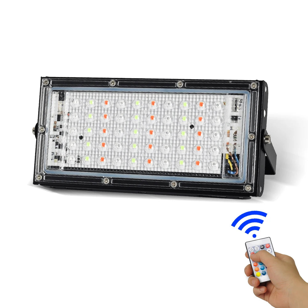 Dingdian LED RGB  Flood Light Led Outdoor 50W AC220V IP66 Waterproof Colorful Light Garden Landscape Remote Control Led Light