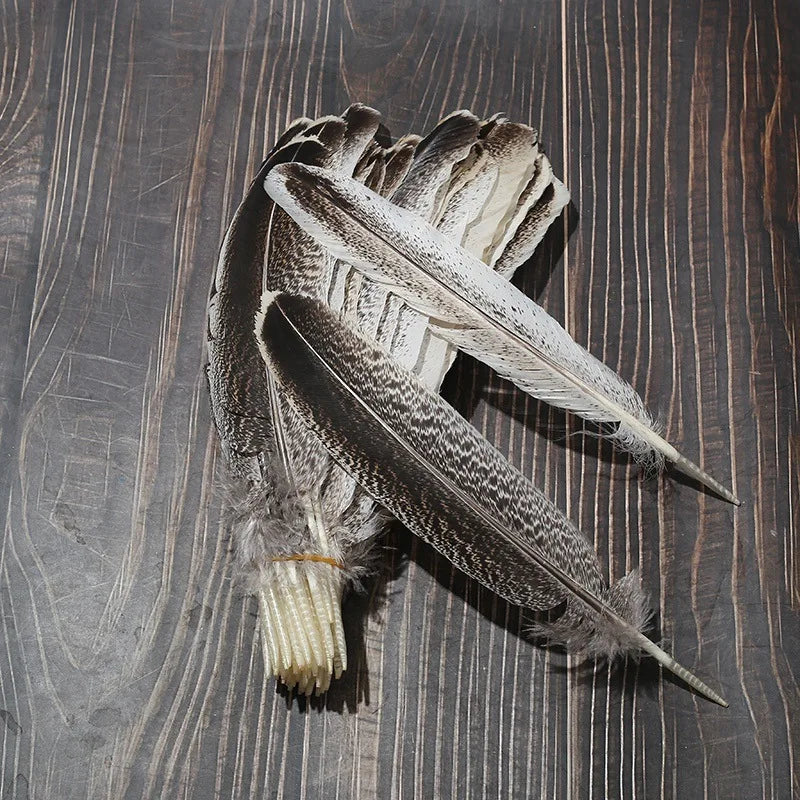 Turkey Wing Feathers Dyed 20-30cm Selected Prime Quality SHC Brand China Hubei Origin