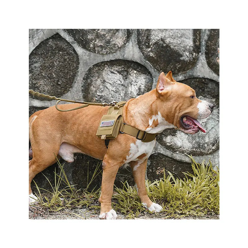 Maychan Custom Adjustable No Pull Pet Harness Outdoor Tactical Nylon Dog Safety Harness