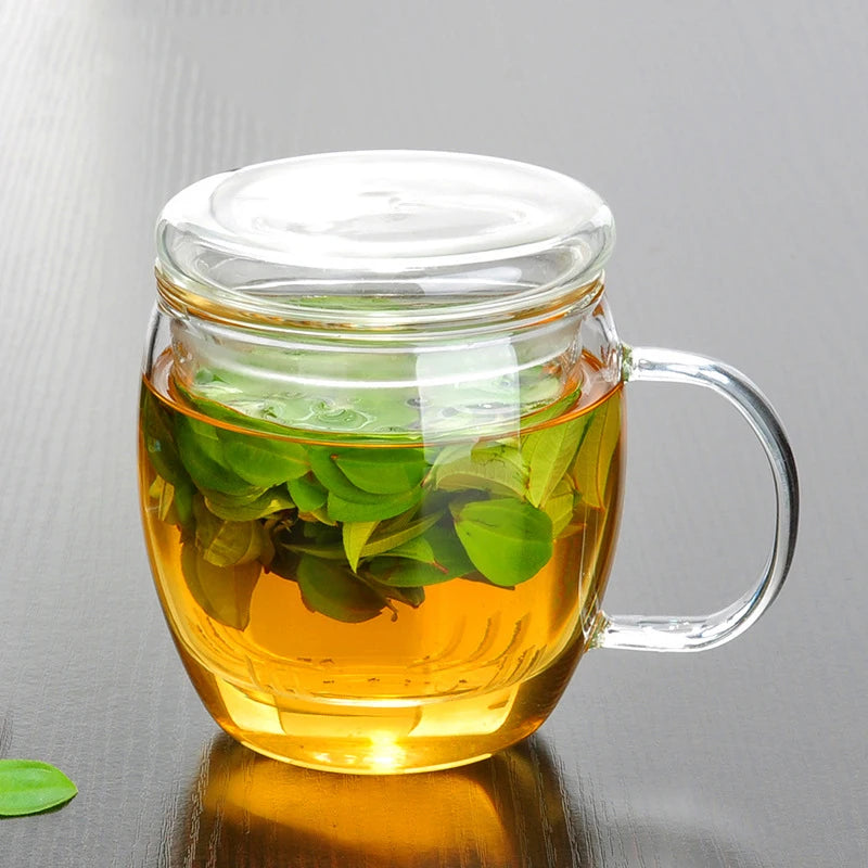 15oz Home Office Modern Design Borosilicate Glass Tea Mug 450ML with Infuser Handle for Coffee and Loose Leaf Tea Drinkware