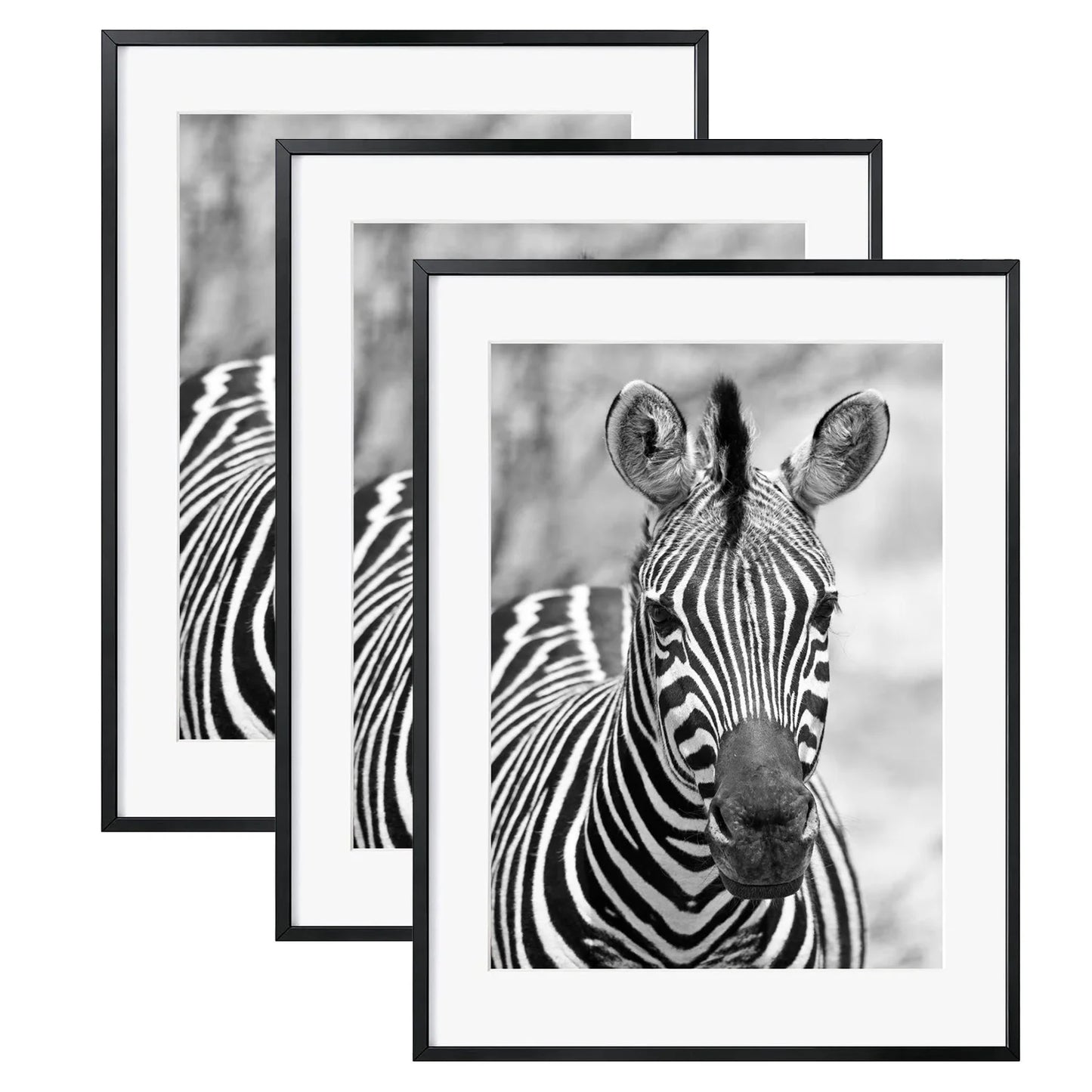Metal Hanging Photo Frame Superior Quality Handmade Designer Photo Holder Classic Stylish Wholesale New Luxury Photo Frame
