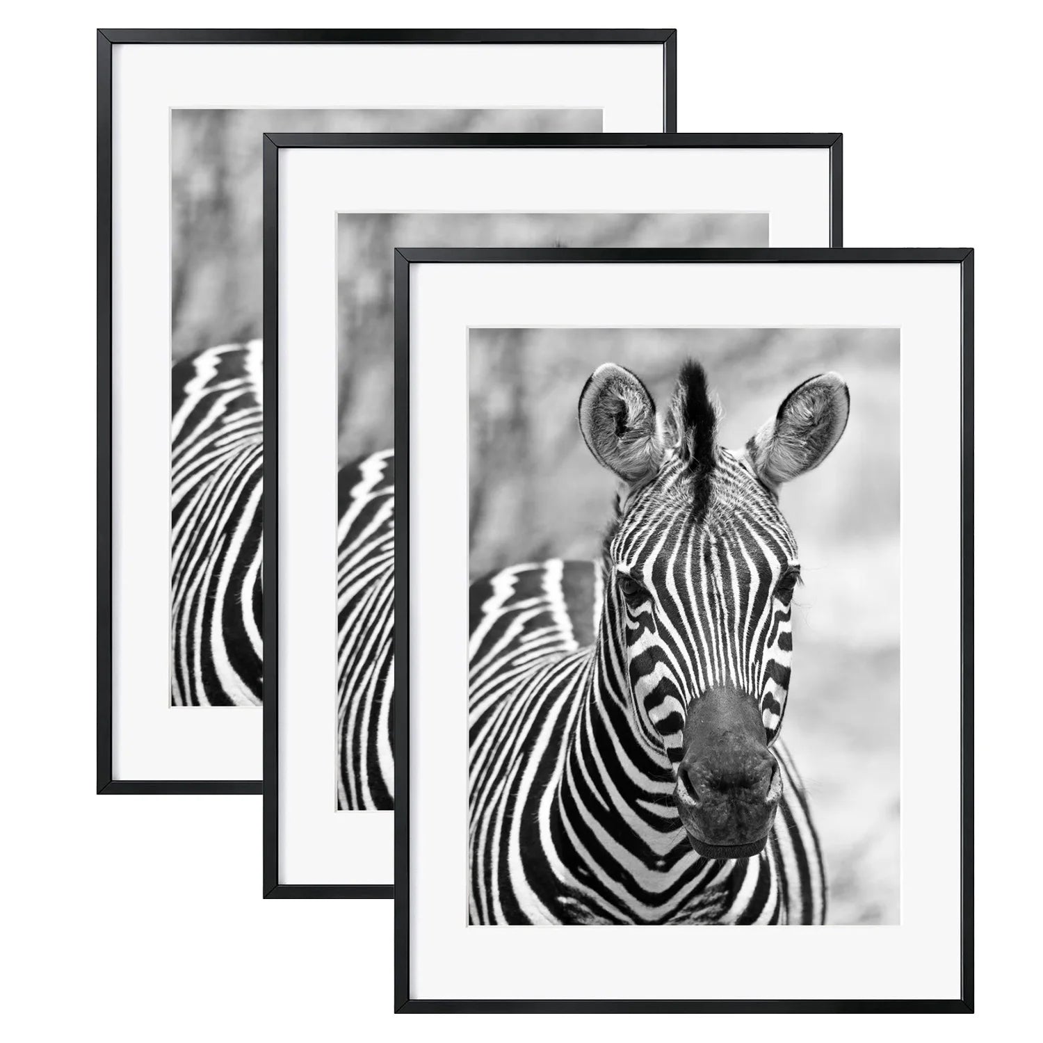 Metal Hanging Photo Frame Superior Quality Handmade Designer Photo Holder Classic Stylish Wholesale New Luxury Photo Frame