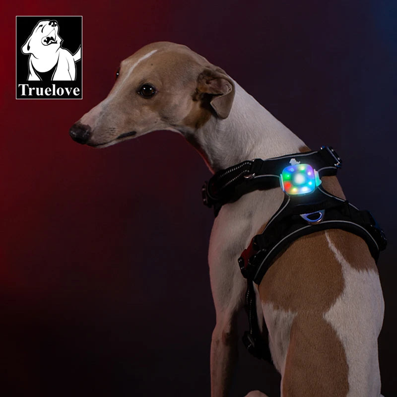 Truelove Night LED Light for Pet Safety Water Resistant Muti-color Wireless Charging Hot Selling Outdoor Product Dog Accessor