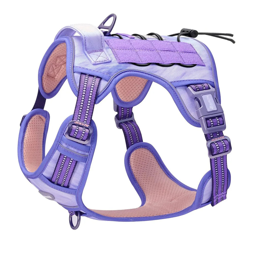 Pet Dog Tactical Harness Leash Metal Dog Chain Chest Back Training Leash Kit for Medium and Large Sized Dogs