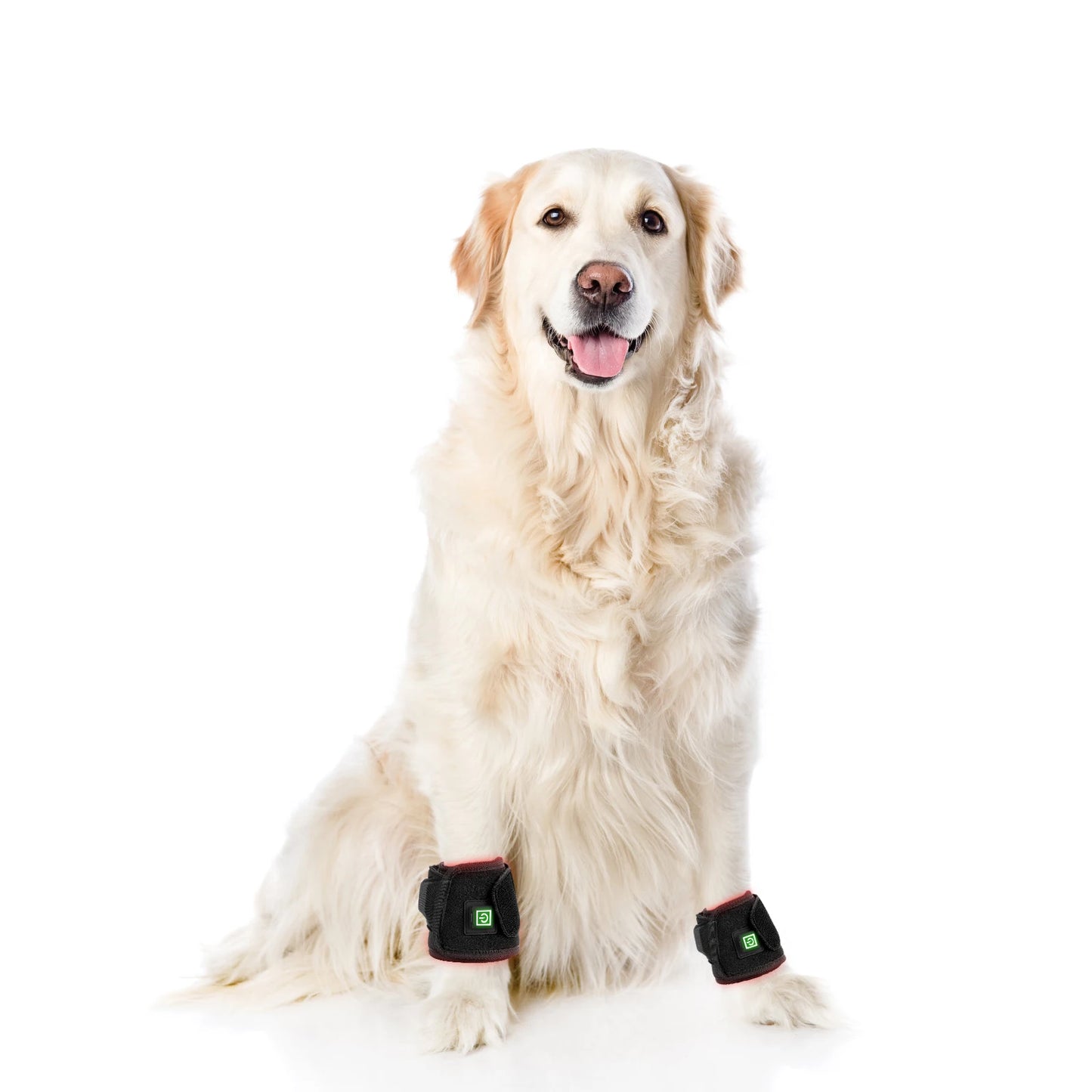 Portable Phototherapy Near Infrared Light Therapy Device hock hoof boot Equipment for Horse Pain Relief