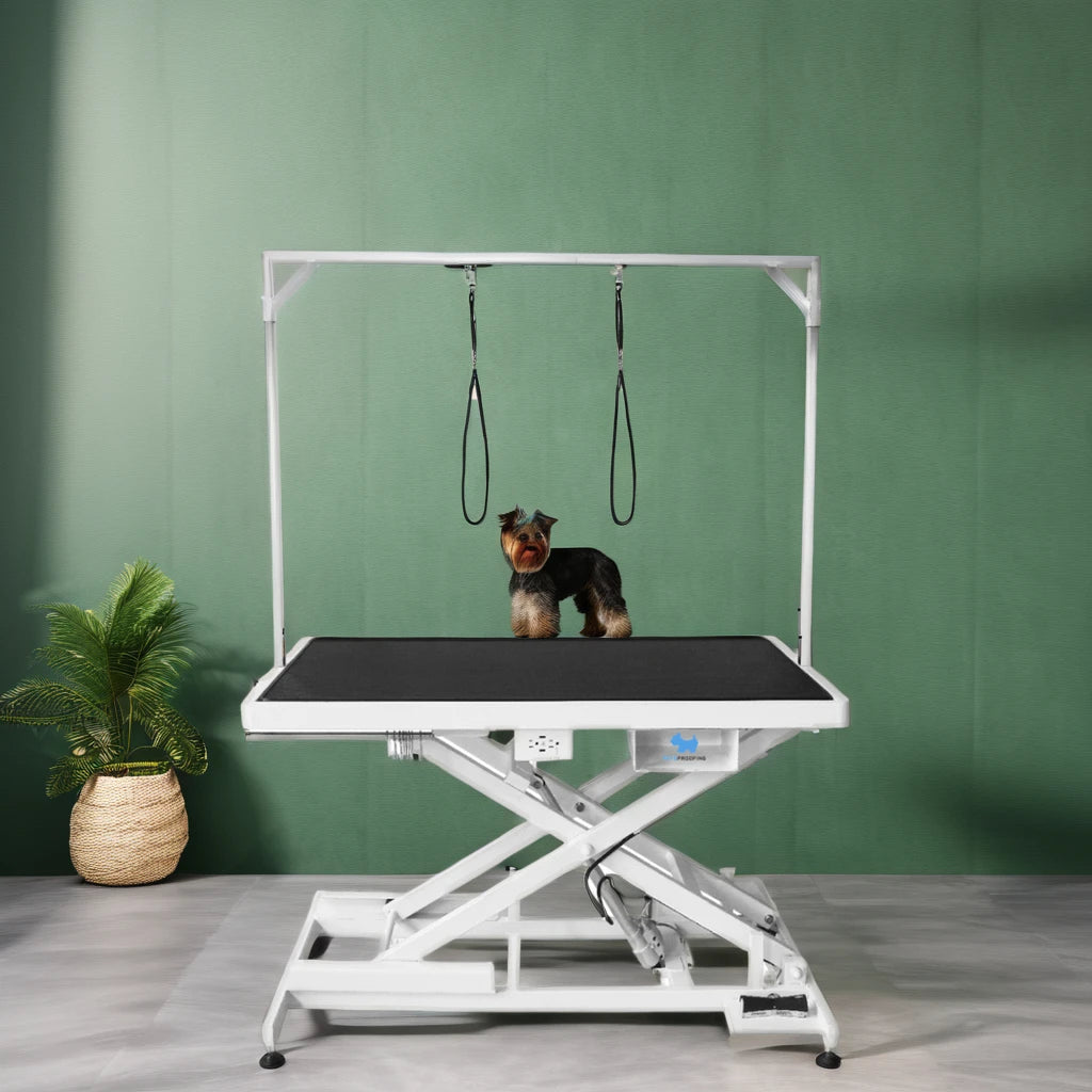 Sustainable Stainless Steel Electric Lifting Dog Grooming Table Foldable Adjustable Height for Hair Removal PP Cleaning Featu