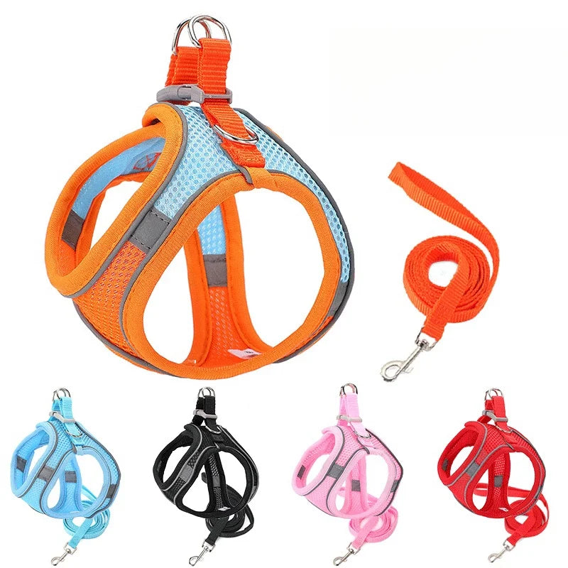 Cat Dog Harness Logo Custom Pet Collars Leashes Harnesses Pet Cat Collars Leashes