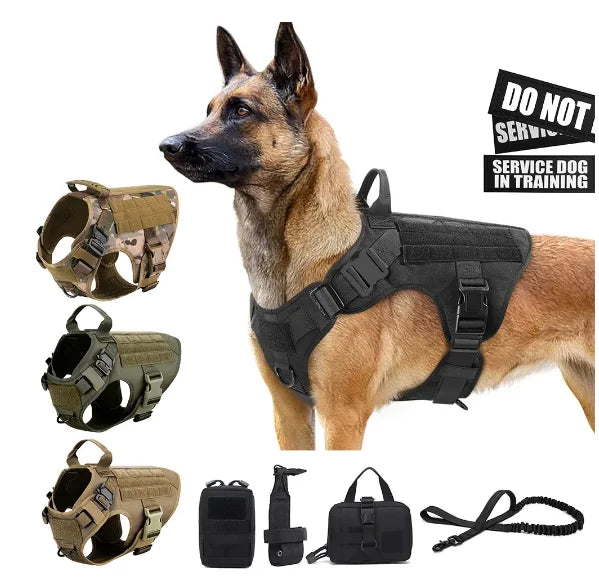 Pet Harness Sublimation Luxury Dog Leash Set Dog Accessories