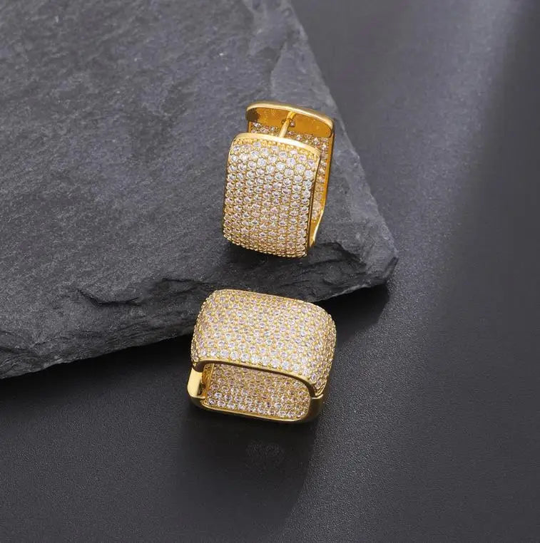 Double-layer Micro-inlaid Brass Zircon Drop Earrings Luxury High-end Leopard Print Women Niche Design Earrings