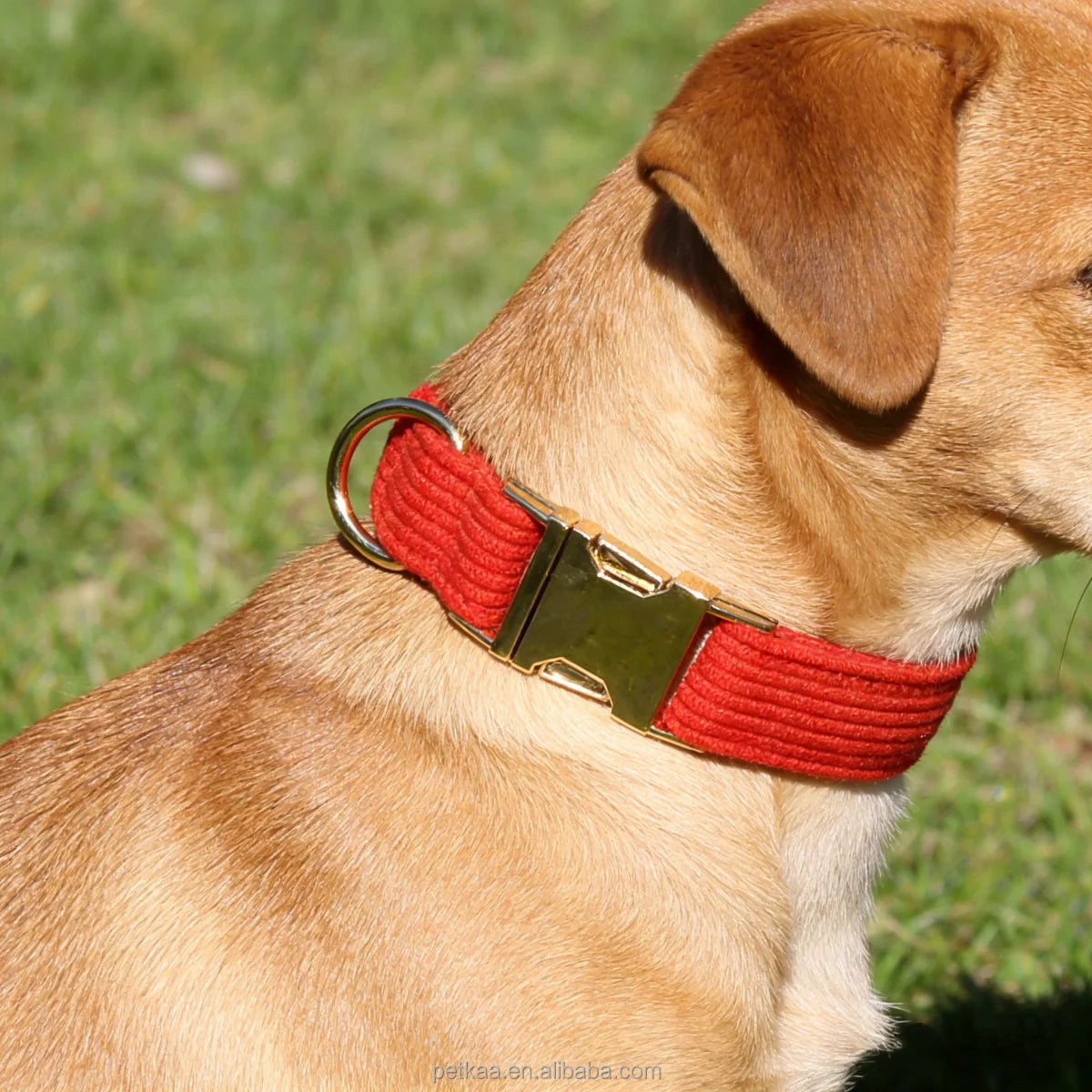 Luxury Corduroy Pumpkin Red Pet Dogs Collar Metal  Buckle Wholesale Customizable LOGO Personal Prints in Stock High Quality