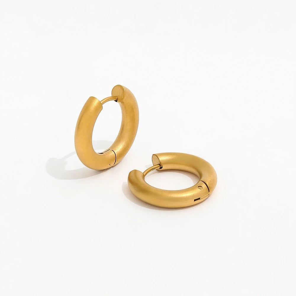 Fenny 18K Gold-plated High Sense Versatile Matte Surface Simple Hoop Earring Wholesale Stainless Steel Ladies Jewelry