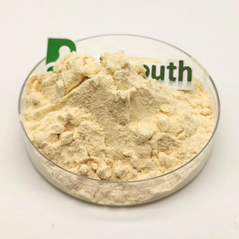 High Quality Food Additives Base Flavors Cheese Cheddar Powder
