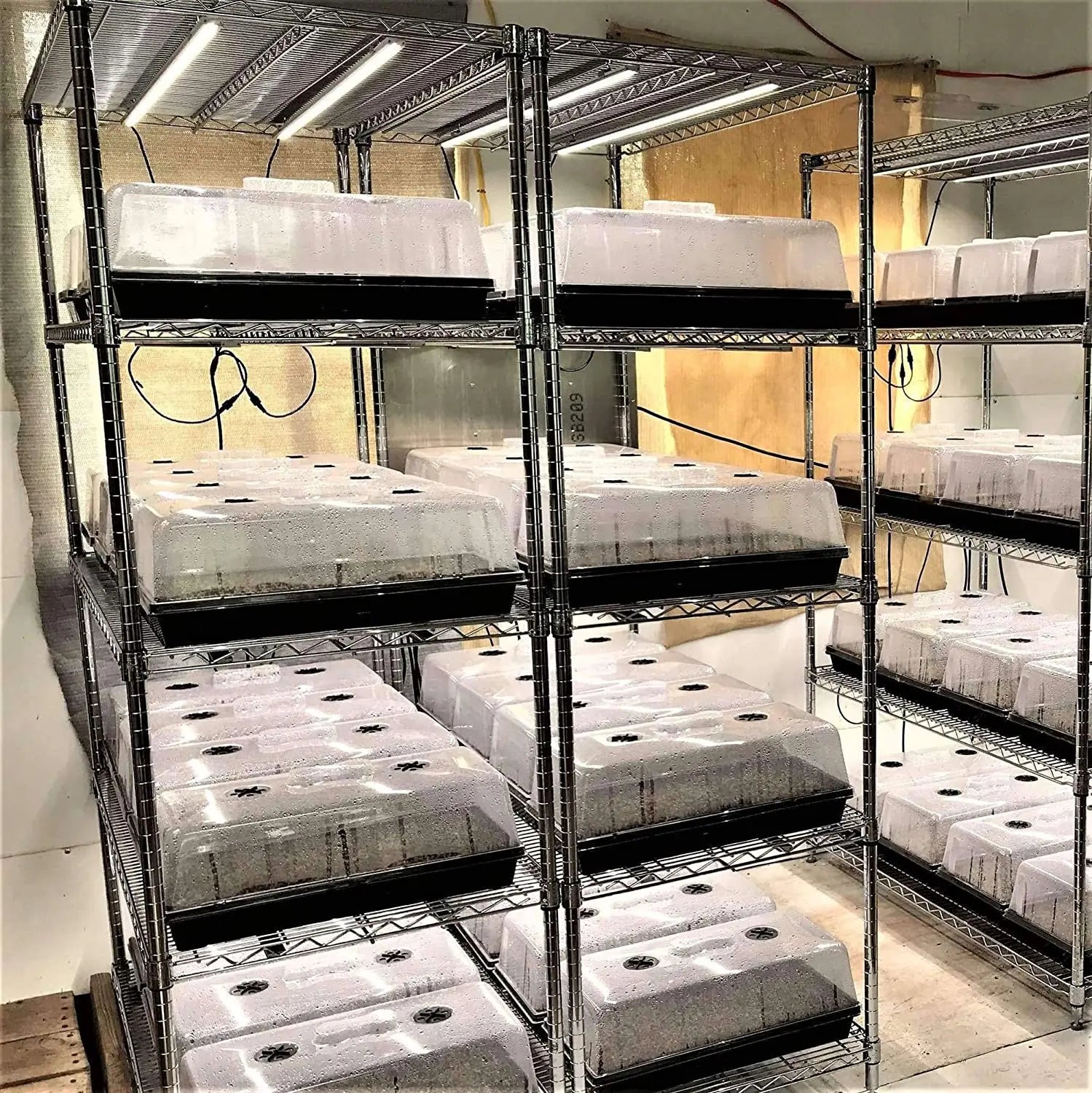 Plastic Rectangle Seed Trays Kit Reusable Durable Seedling Starter Germination Trays Hydroponic Growing System Lid Cover
