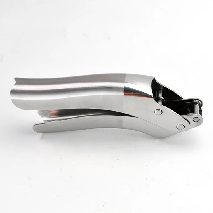 Hot Seller Kitchen Accessories Manual Garlic Press Zinc Alloy Crusher Handheld Squeezer 1 Piece