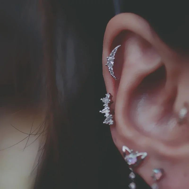 1pc Daith Piercing Rook Earring for Women Jewelry Kpop Style Leaf Crown Zircon Rose Gold Color Helix Tragus Ear Accessories G
