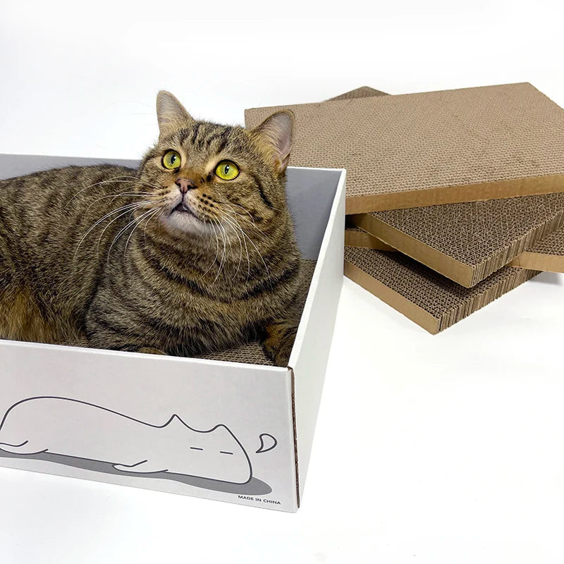 Low Quantity White Kraft Paper Cat Scratcher 5 Refill Pads for Indoor Cats Cat Trees & Scratcher