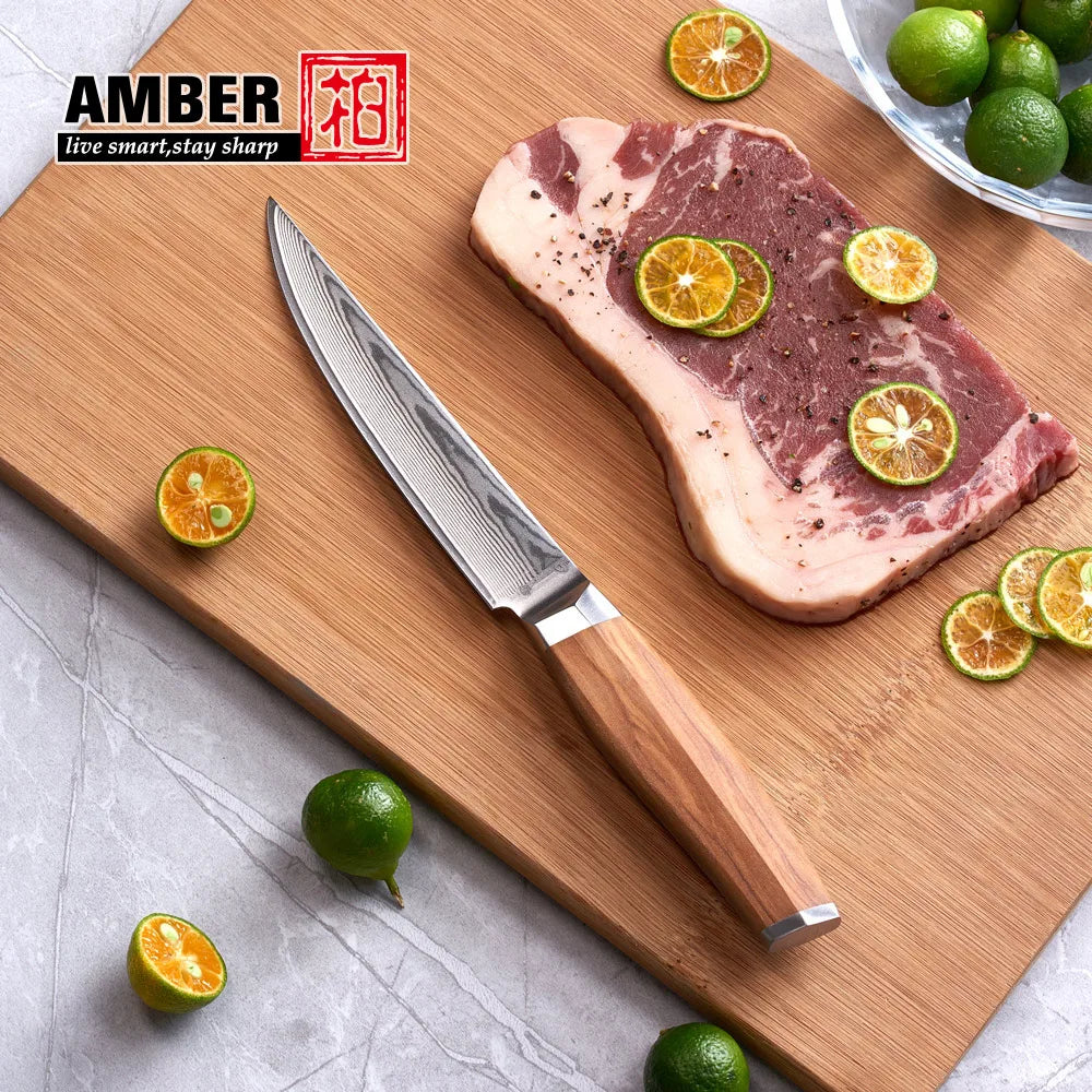 Original Design 5 Inch 67 Layers VG10 Damascus Steel Kitchen Knives Cutlery Restaurant Steak Beef Knife with Olive Wood Handl